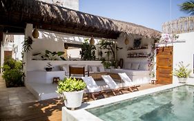 Tropical House - Villa com piscina perto do mar